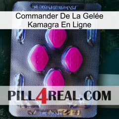 Commander De La Gelée Kamagra En Ligne 02